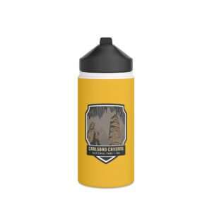 Carlsbad Caverns National Park Stainless Steel Water Bottle – Sip the Underground Beauty