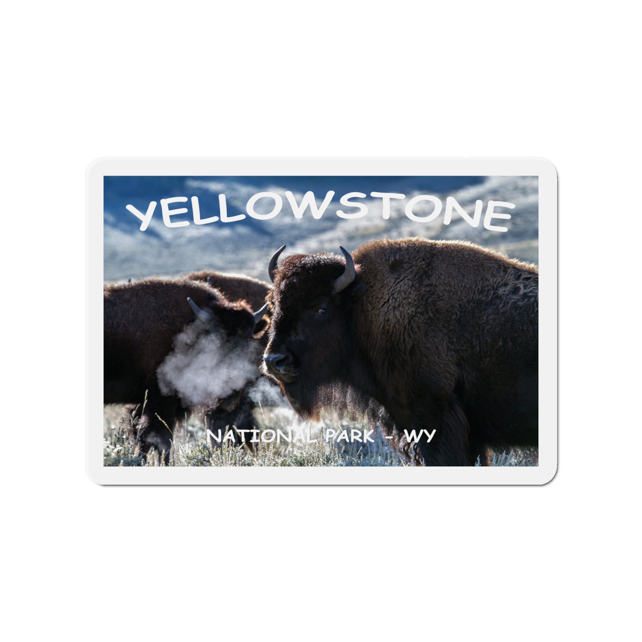 Explore Yellowstone Magnet - Premium Vinyl, Hand-Drawn Design - 2 to 6 Inches