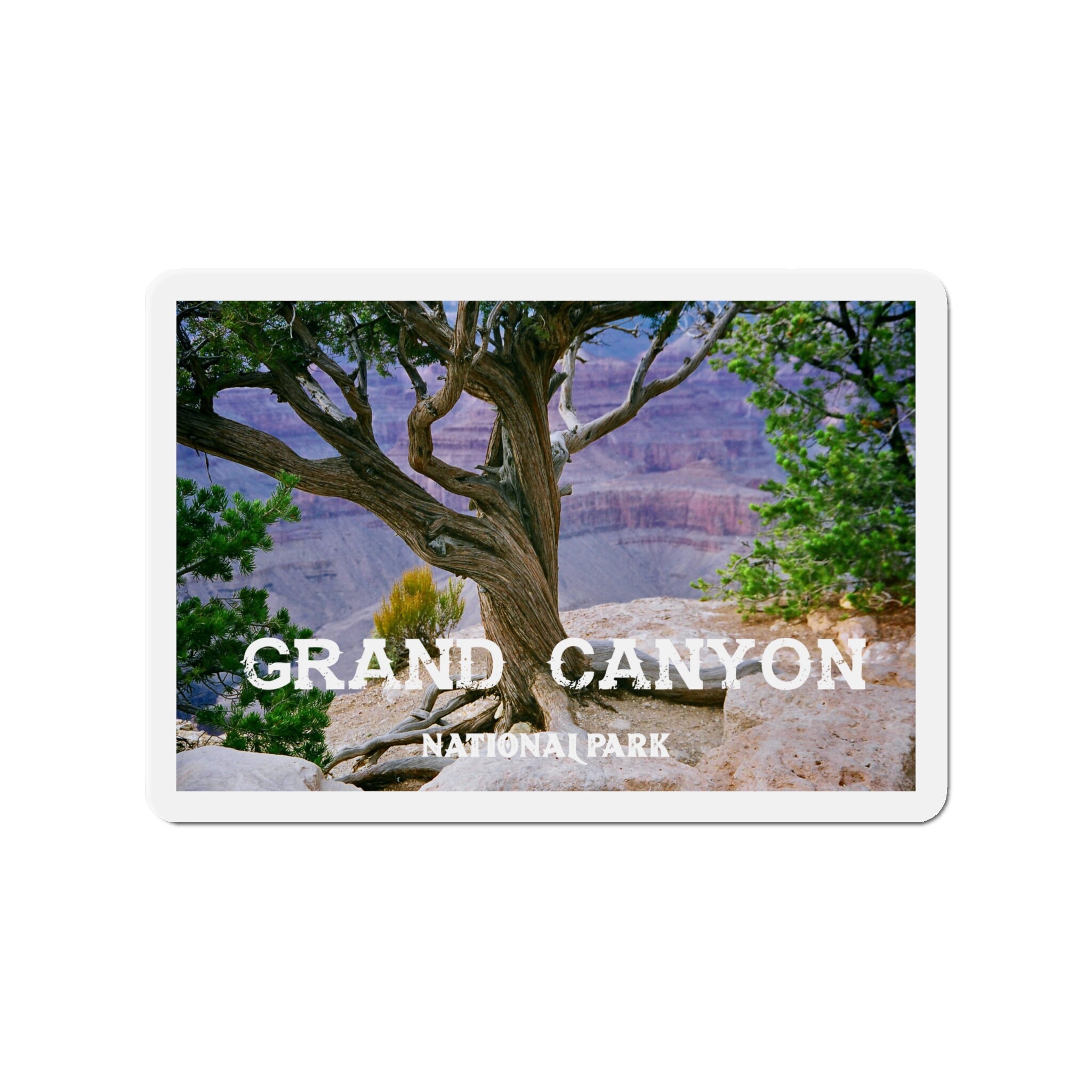 Grand Canyon National Park Magnet - Explore in Sizes 2" to 6"!