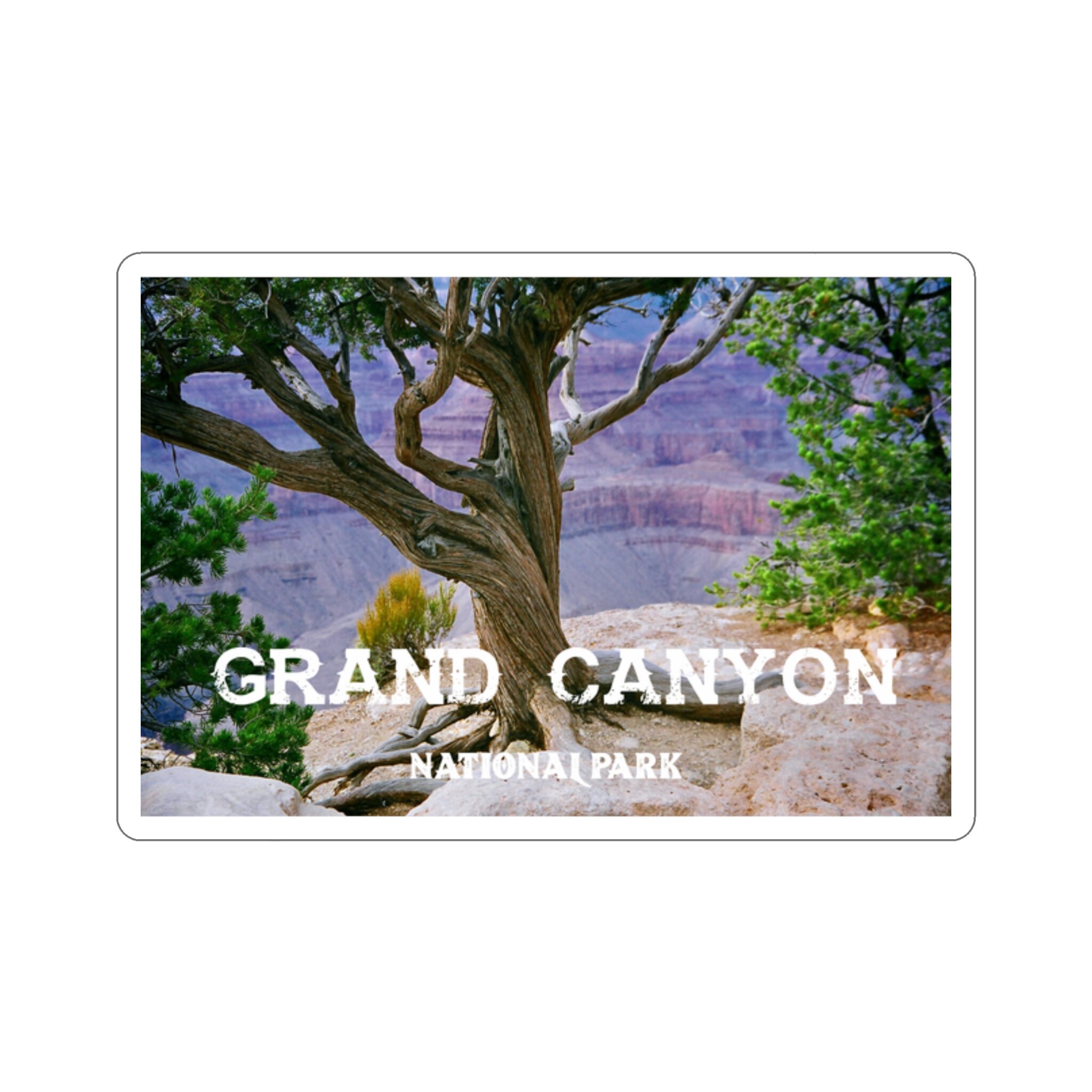 Grand Canyon National Park Sticker - Adventure Awaits in 2" to 6" Sizes!